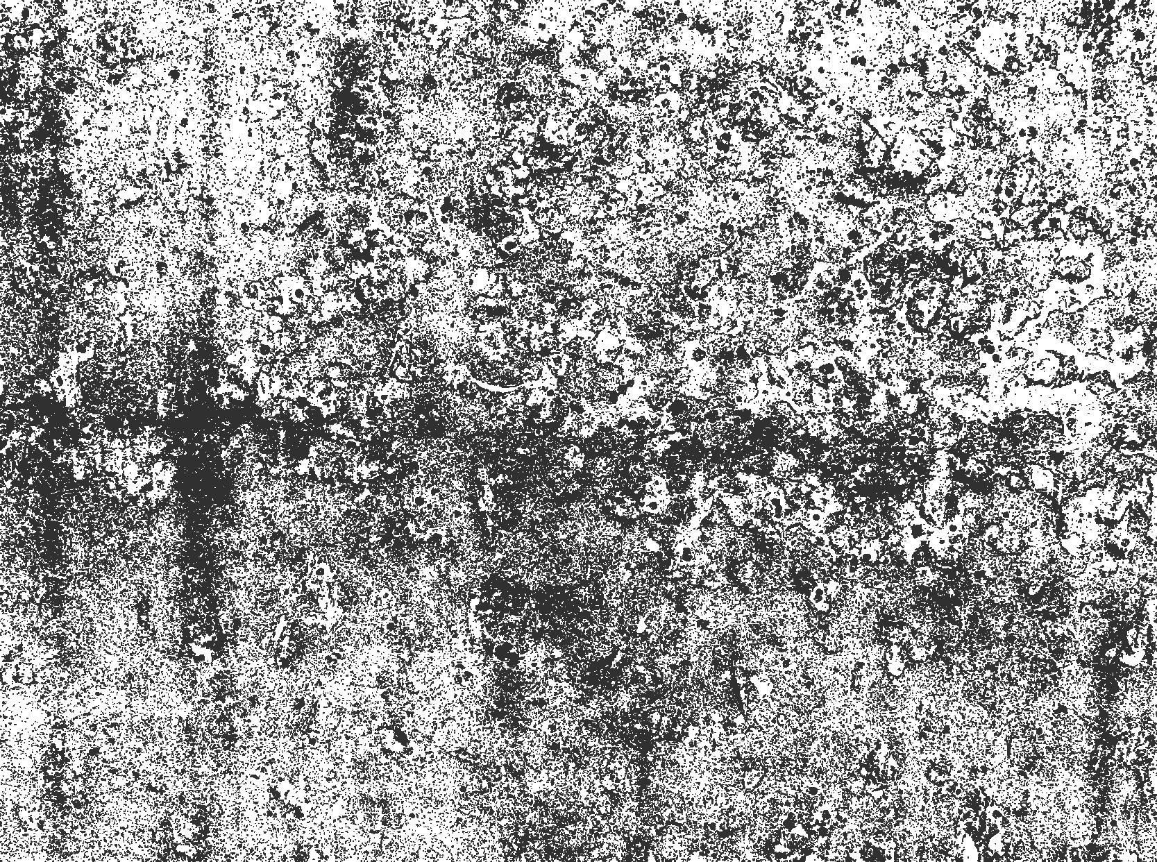 Haalistunut harmaa ruokasali vinyylimatto - Tenstickers