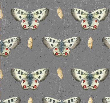 Perhosia ja betonityylinen tapetti - Tenstickers