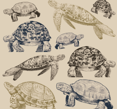 Erilaiset kilpikonnat beige tausta eläintapetti - Tenstickers